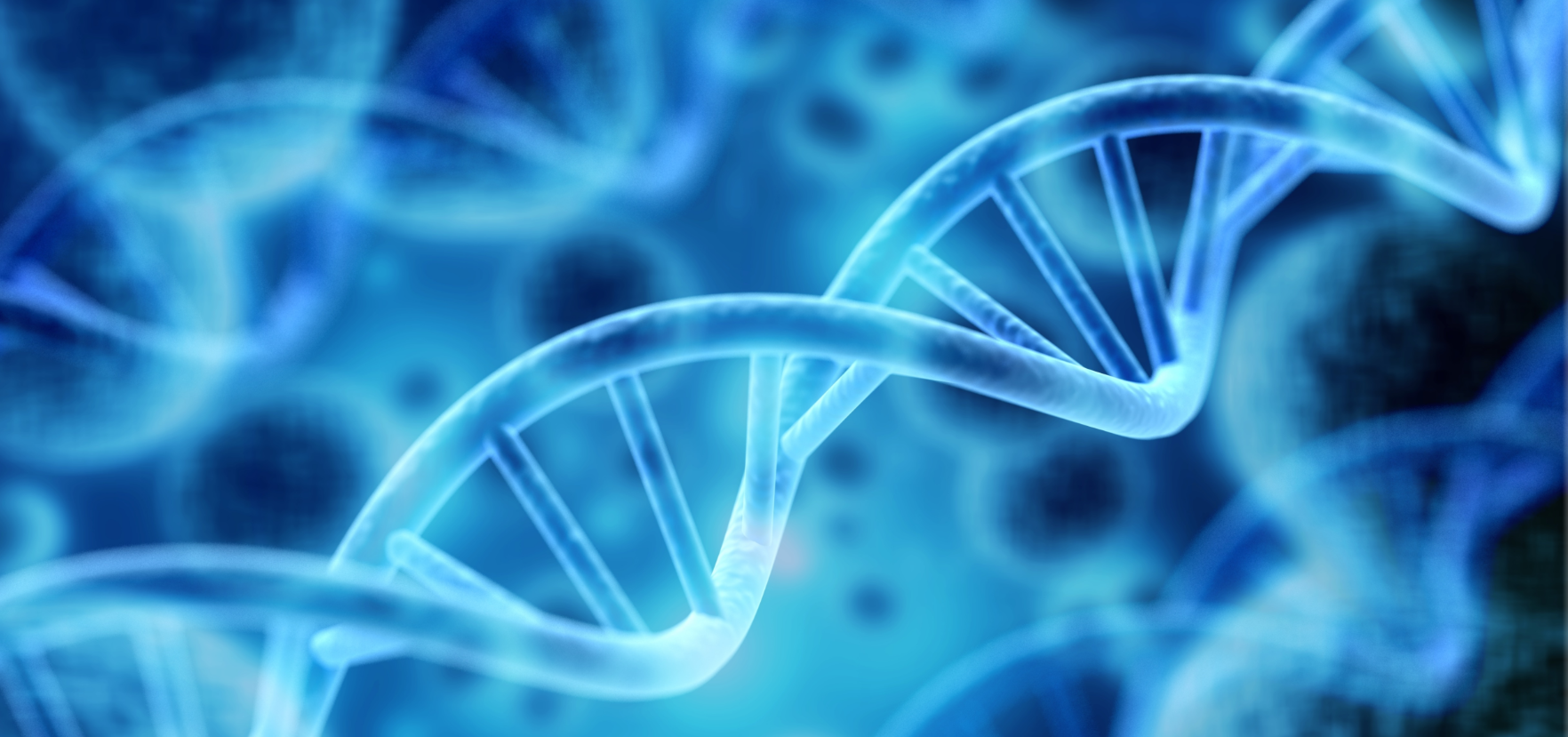 Tirzepatide & Retatrutide Pens – 99% Pure. COA Verified. Fast Global Shipping.